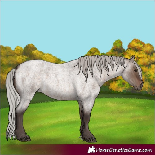 Horse Color:Silver Brown Roan Dun 