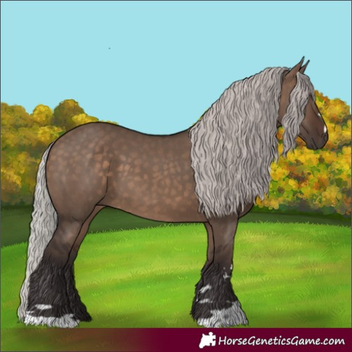 Horse Color:Silver Brown Dun 