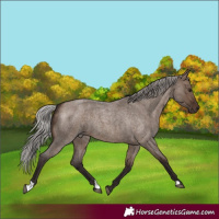 Horse Color:Silver Brown Roan Dun