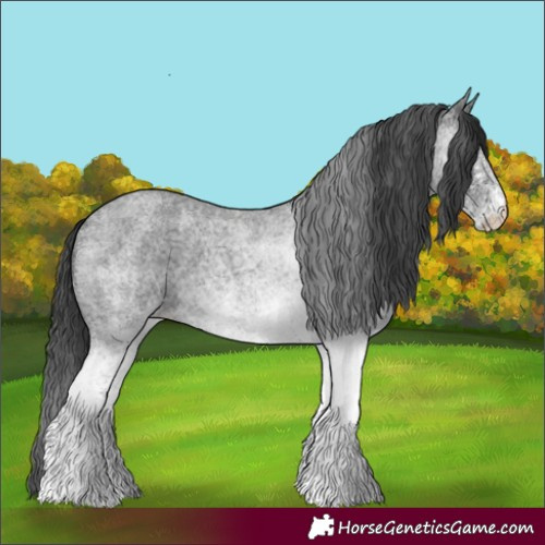 Horse Color:White Spotted Blue Roan 