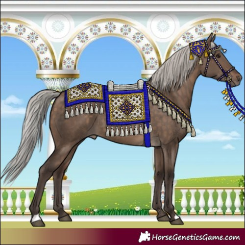 Horse Color:Silver Brown Dun 