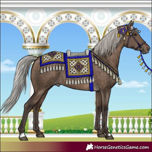 Horse Color:Silver Brown Dun 