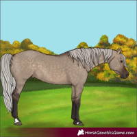 Horse Color:Silver Brown Dun