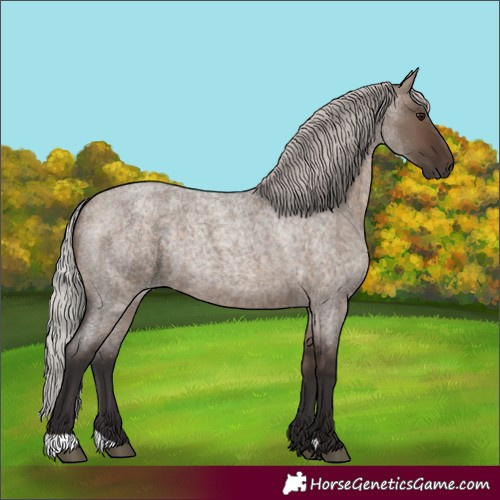 Horse Color:Silver Brown Roan Dun 