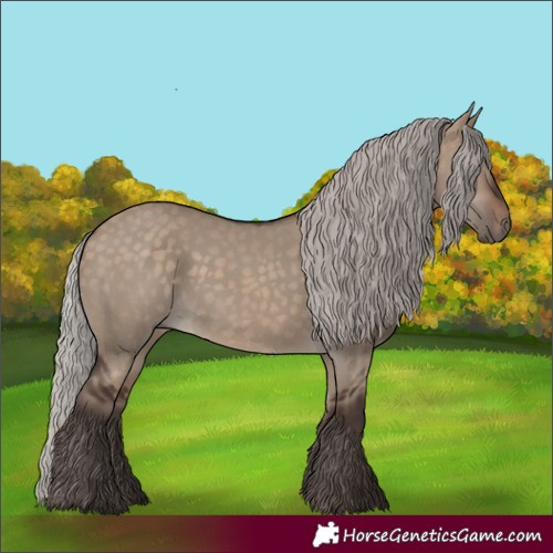Horse Color:Silver Brown Dun