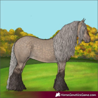Horse Color:Silver Brown Dun 