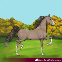 Horse Color:Classic Champagne Splash 
