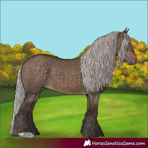 Horse Color:Silver Brown Dun 