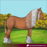 Horse Color:Chestnut Tobiano