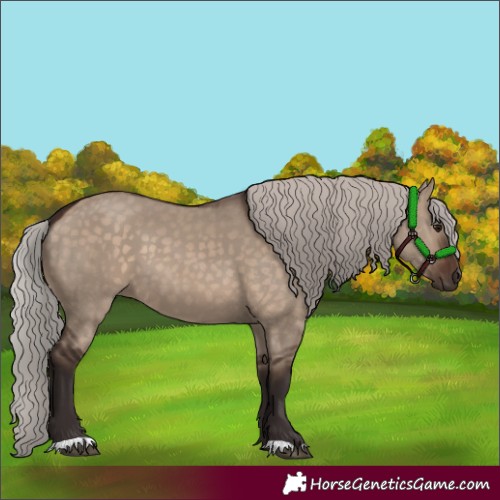 Horse Color:Silver Brown Dun