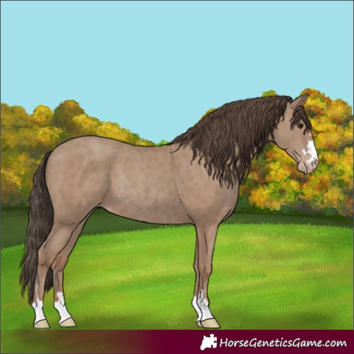 Horse Color:Classic Champagne Rabicano 
