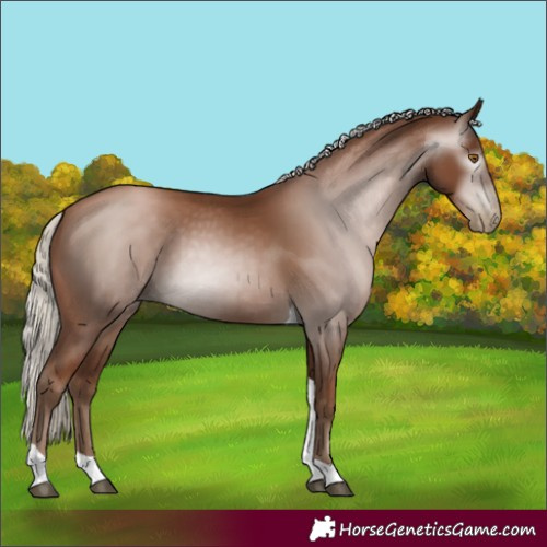 Horse Color:Gray Silver Black Pearl Tobiano