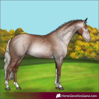 Horse Color:Gray Silver Black Pearl Tobiano 