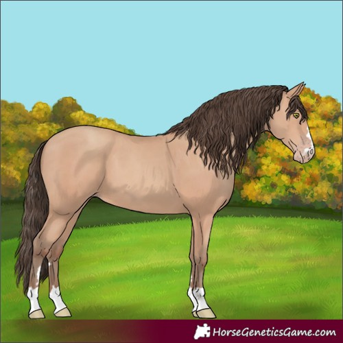 Horse Color:Amber Champagne 