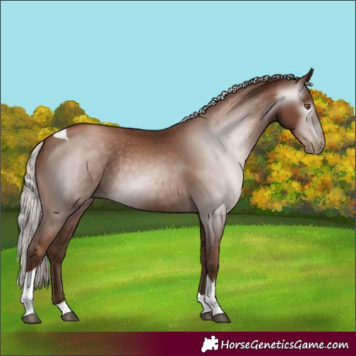 Horse Color:Gray Silver Black Pearl Tobiano 