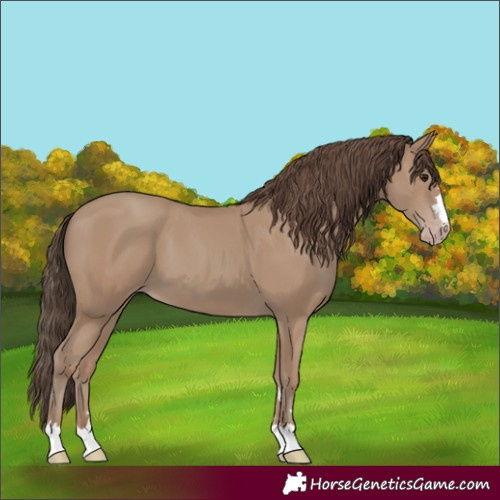 Horse Color:Classic Champagne 