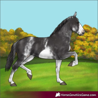 Horse Color:White Spotted Smoky Black Frame 