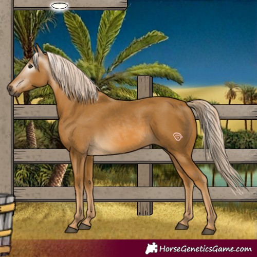 Horse Color:Gray Palomino