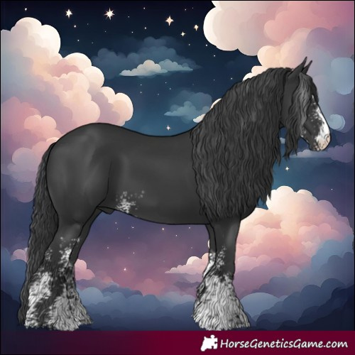 Horse Color:Black Sabino 