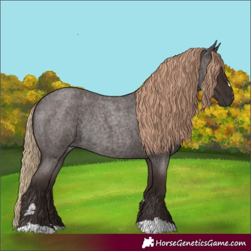 Horse Color:Liver Red Roan Rabicano
