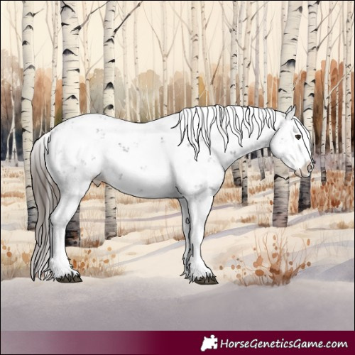 Horse Color:Liver Chestnut Sabino Splash Snowcap 