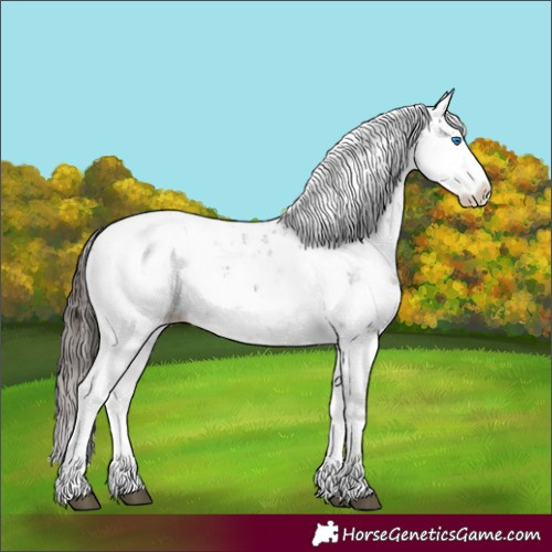 Horse Color:Liver Chestnut Sabino Splash Snowcap