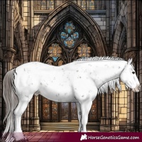 Horse Color:Liver Chestnut Sabino Splash Snowflake Varnish