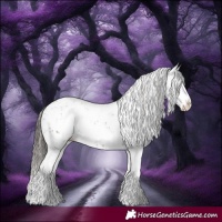 Horse Color:Liver Chestnut Sabino Splash Snowflake Varnish