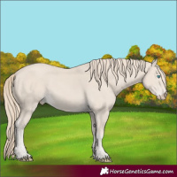 Horse Color:Smoky Creme 