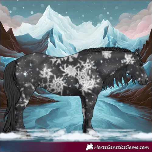 Horse Color:Black Ice