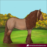 Horse Color:Red Dun 