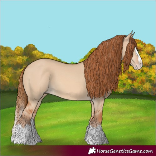Horse Color:Unknown 