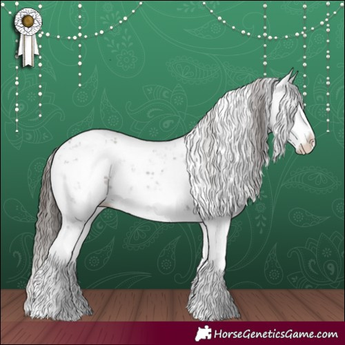 Horse Color:Liver Chestnut Sabino Splash Snowflake Varnish