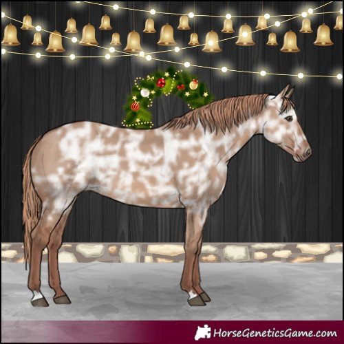 Horse Color:Red Dun Ice 