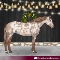 Horse Color:Red Dun Ice 
