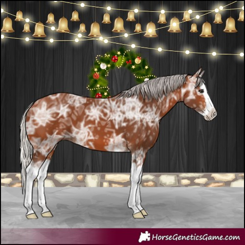 Horse Color:Silver Bay Ice Splash 
