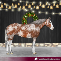 Horse Color:Silver Bay Ice Splash 