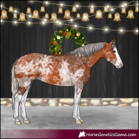 Horse Color:Silver Bay Ice Splash 