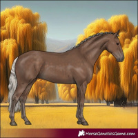 Horse Color:Silver Black