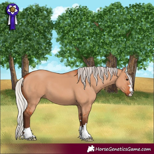 Horse Color:Silver Bay Dun 
