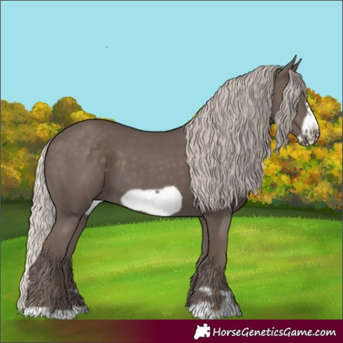 Horse Color:Silver Black Frame