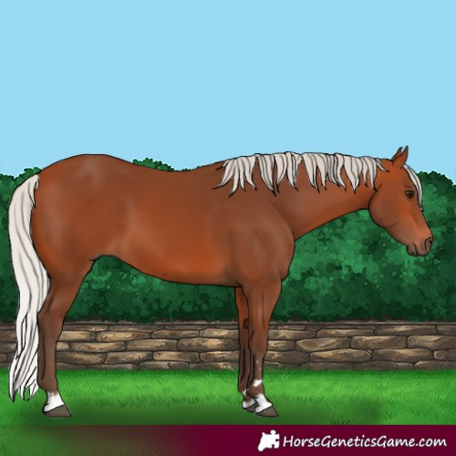 Horse Color:Silver Bay
