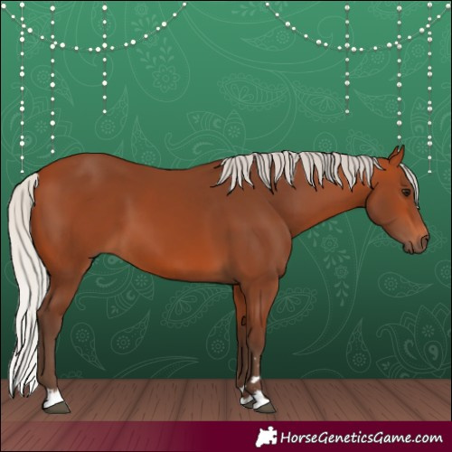 Horse Color:Silver Bay