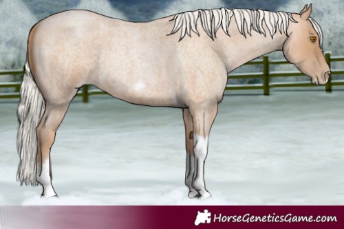 Horse Color:Silver Blue Roan Pearl Tobiano Frame 
