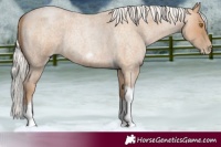 Horse Color:Silver Blue Roan Pearl Tobiano Frame