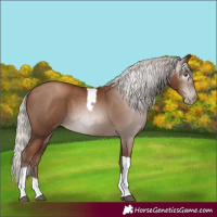 Horse Color:Gray Silver Black Pearl Tobiano 
