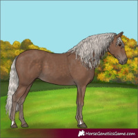 Horse Color:Silver Black 