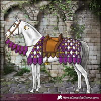 Horse Color:Liver Chestnut Sabino Splash Appaloosa Rabicano