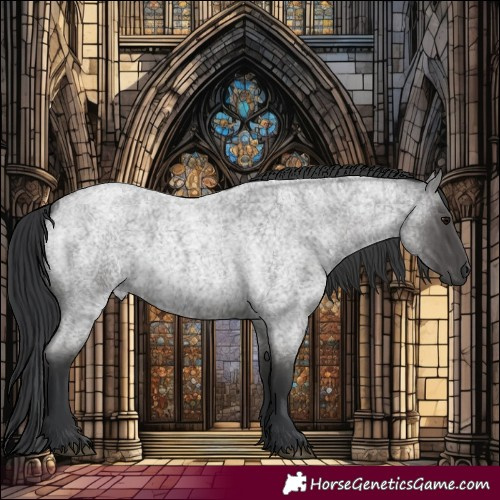 Horse Color:Blue Roan 