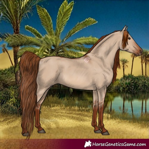 Horse Color:Red Dun